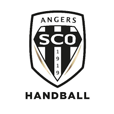 22/05 le sco angers à la recherche d'un repreneur 20/05 angers : Ihf Player Details