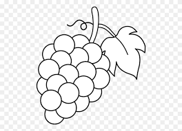 10 photos · curated by aaron haefele. Black And White Fruit Clipart Strawberry Clipart Black And White Stunning Free Transparent Png Clipart Images Free Download