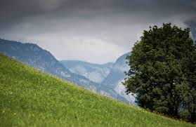 Mahd In Vals Onj Osterreichische Naturschutzjugend