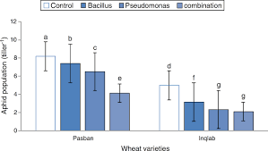 Most tsetse flies are physically very tough. Scielo Brasil Plant Growth Promoting Rhizobacteria Reduce Aphid Population And Enhance The Productivity Of Bread Wheat Plant Growth Promoting Rhizobacteria Reduce Aphid Population And Enhance The Productivity Of Bread Wheat