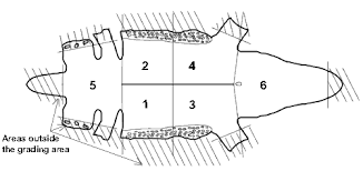 Defining The Price And The Grade Of The Crocodile Leather