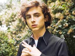 See his all girlfriends' names and entire biography. Timothee Chalamet Biography Age Height Girlfriend Net Worth Starswiki