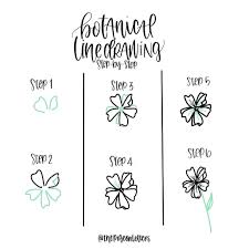 Über 7 millionen englischsprachige bücher. Botanical Line Drawing Aka How To Draw Pretty Plants See This Instagram Photo By Thepigeonletters Botanical Line Drawing Drawing Doodles Flower Doodles