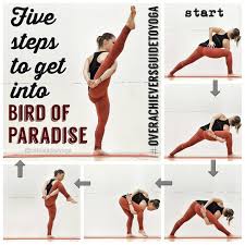 A Short Yoga Guide For Advanced Yoga Poses Advancedyogaposes Yoga Poses Advanced Yoga Guide Advanced Yoga