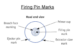 Striated toolmarks caused by the rough margins of a firing pin hole (aperture) scraping the primer metal during unlocking of the breech of a firearm. Firearms Took Marks Other Impressions Chapter 15 Mr