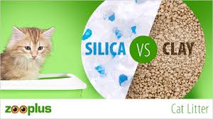 These tend to have pleasant. Cat Litter Clumping Or Silica Zooplus Magazine
