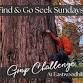 Find & Go Seek Group Challenge event image