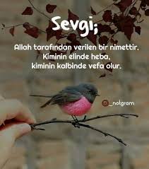 Mutsuzluk Sozleri Resimli Guzel Sozler 2020 Guzel Soz Ilham Verici Sozler Ozlu Sozler