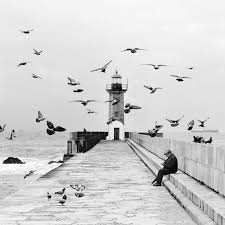 Top 10 Most Amazing Black And White Photos Part 2 Top Inspired Lighthouses Photography White Photography Photo