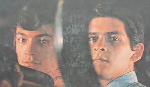 Los Wilcox Discography: Vinyl, CDs, & More