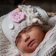 Wild and Woolly Yarns