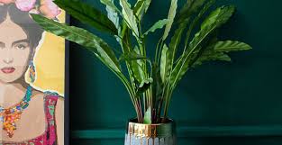 ✓ free for commercial use ✓ high quality images. Fashionable And Functional 3 Ways To Decorate Your Home With Plants
