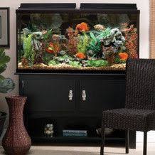 Marineland 60 Gallon Heartland Aquarium Ensemble Black 60g Heartland Ensemble Black From Petsmart Usa 279 99 Aquarium Fish Tank Aquarium Stand