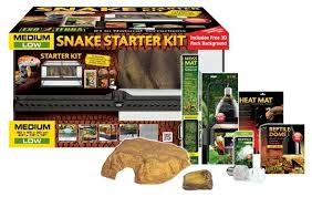 Why Reptile Kits Are A Useless Waste Of Money Reptifiles Reptiles Starter Kit Terrariums Kits