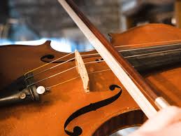 Cut your stick at 70 cm for a violin or viola bow, about 65 cm for a cello or a bass bow. Why Violin Bows Can Cost As Tens Of Thousands Of Dollars