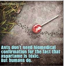 Aspartame Creative Advertising Print Ads Best Ads