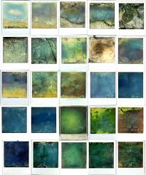 Destruction By Andrea Ehrenreich Photography Instant Film Storybook Photography Instant Photography Photography