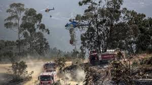 Mais de 35 mil toneladas de madeira queimada ficaram deixadas ao abandono no meio da. Mais De 700 Bombeiros Continuam O Combate Chamas Em Monchique Dnoticias Pt