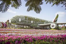 Bamboo can grow at a rate of 3 feet per day. Top 20 Fascinating Statistics About Flowers And Horticulture Florgeous