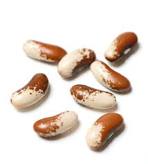 Image result for Phaseolus