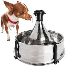 Maybe you would like to learn more about one of these? Petsafe Drinkwell 360 Stainless Steel Multi Pet Dog And Cat Water Fountain 128 Oz Petco