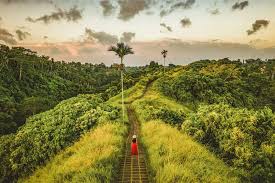 Campuhan Ridge Walk, Ubud