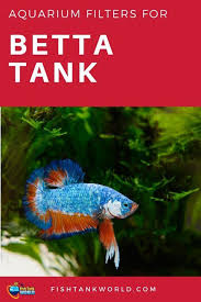 The 5 Best Filters Options For A 5 Gallon Betta Fish Tank Compared Betta Fish Tank Betta Tank Betta Fish