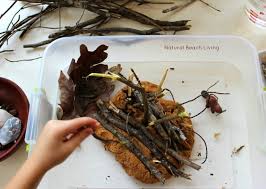 Explore the wide world of animal habitats, including rainforests, deserts, arctic tundras, oceans, freshwater ponds and more with these fun activities. Animal Habitat Activities For Preschool Natural Beach Living