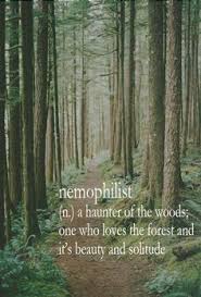 (rare) one who is fond of forests or forest scenery; 130 The Book Of Derek Ideas In 2021 Words Unusual Words Just Girly Things