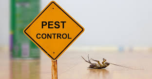 Maybe you would like to learn more about one of these? How To Avoid A Costly Pest Infestation At Your Self Storage Facility Inside Self Storage