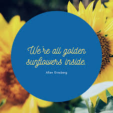 In the morning the sunflower blossoms due to the sun’s rays. Cute And Inspirational Sunflower Quotes Southern Living