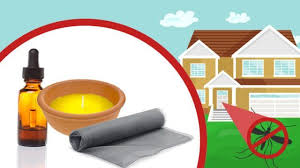 Que Vous Ayez Des Moustiques A L Interieur Ou A L Exterieur De Votre Maison Ces Parasites Sont Non Seulement Incommod Eloigner Les Moustiques Moustique Maison