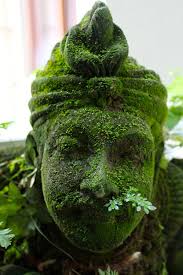 Shop for moss wall art from the world's greatest living artists. Diy Moss Graffiti Paint Results Little Green Dot