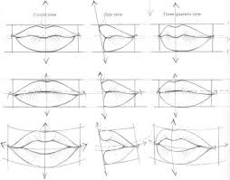 Begin by using a series of curved lines to outline the face and jaw. The Mouth Analysis And Structure Figure Drawing Martel Fashion