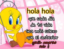 ¡100% gratis, sin ningún cargo! Cyan La Furra Ar Twitter Pasen Imagenes De Piolin De Este Tipo Akshdaksfj Voy A Grabar Todas Las Frases Ajajaj