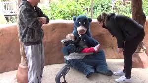 The logo features disneyland attractions of the 1960s: Disney Characters Meet And Greet Baloo Disneyland Paris Jungle Book Youtube