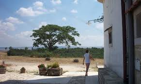 La fiche de leonardo spinazzola (as rome) sur sofoot.com. Agriturismo Masseria Pulcinella Bewertungen Fotos Spinazzola Italien Tripadvisor