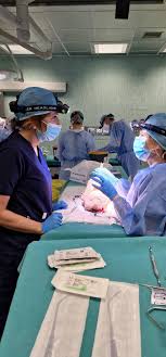 Clinica del Mediterraneo