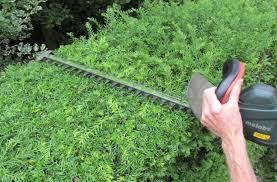 je heg recht snoeien zonder touw of laser tuin tuin snoeien tuingereedschap