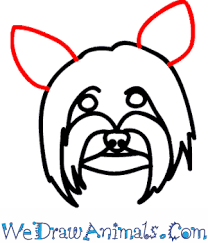 How To Draw A Yorkie Dog Here presented 42+ easy sketch drawing images for free to download, print or share. how to draw a yorkie dog