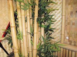 Www Bambooreasian Bamboo Fences Bamboo Fences California Bamboo Fences Orange County Bamboo Fences Los Ang Bamboo Fence Bamboo Wall Covering Bamboo Garden