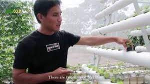 Hydroponics Episode 1 Vertical A Frame Nft System Greengold Farms Youtube