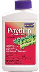 In other words, rotenone inhibits cellular respiration. Bonide Rotenone Pyrethrins Concentrate 8oz Achille Agway Brattleboro Vt Hillsboro Nh Keene Nh Milford Nh Peterborough Nh Walpole Nh