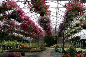 Produces more than double the output as normal fluorescent fixtures. How To Start A Plant Nursery Business Starting A Plant Nursery Plant Nursery Business Plant Nursery