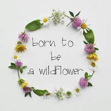 Born To Be A Wildflower Wild Flowers Flower Nursery Decor Flower Quotes