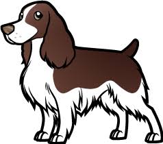 Black And White Springer Spaniel Clipart English Springer Spaniel Spaniel Art Dog Drawing Dog Art
