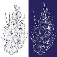 Floral Blooming Gladiolus Hand Drawn Vector Illustration Sketch Flower Drawing Flower Sketches Gladiolus Flower Tattoos
