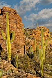› free arizona travel guide book. 5 Best Camping Spots Near Tucson Arizona Cool Tents Camping Spots Tucson