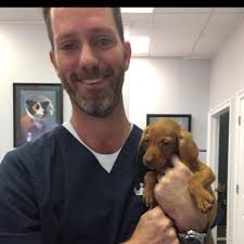 THE BEST 10 Veterinarians in PRICHARD, AL