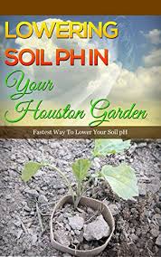 Products and amounts depend on your soil's specifics. Lowering Soil Ph In Your Houston Garden Fastest Way To Lower Your Soil Ph Kindle Edition By Wilkinson Anne Crafts Hobbies Home Kindle Ebooks Amazon Com
